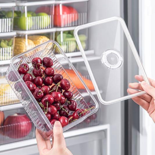 Transparent Food Storage Containers